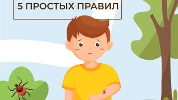 Осторожно: клещи! Осторожно: клещи!.