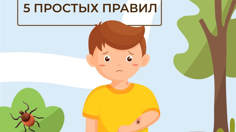 Осторожно: клещи! Осторожно: клещи!.